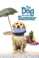 Layarkaca21 LK21 Dunia21 Nonton Film The Dog Who Saved Summer (2015) Subtitle Indonesia Streaming Movie Download