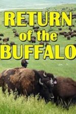 The Return of the Buffalo: Restoring the Great American Prairie (2008)