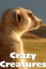 Crazy Creatures (2018)