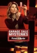 Layarkaca21 LK21 Dunia21 Nonton Film Garage Sale Mysteries: Picture a Murder (2018) Subtitle Indonesia Streaming Movie Download