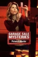 Layarkaca21 LK21 Dunia21 Nonton Film Garage Sale Mysteries: Picture a Murder (2018) Subtitle Indonesia Streaming Movie Download