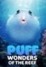 Layarkaca21 LK21 Dunia21 Nonton Film Puff: Wonders of the Reef (2021) Subtitle Indonesia Streaming Movie Download