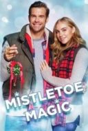 Layarkaca21 LK21 Dunia21 Nonton Film Mistletoe Magic (2020) Subtitle Indonesia Streaming Movie Download