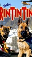 Nonton Film Finding Rin Tin Tin (2007) Subtitle Indonesia Streaming Movie Download