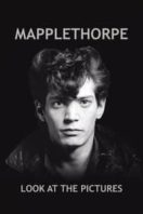 Layarkaca21 LK21 Dunia21 Nonton Film Mapplethorpe: Look at the Pictures (2016) Subtitle Indonesia Streaming Movie Download