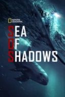 Layarkaca21 LK21 Dunia21 Nonton Film Sea of Shadows (2019) Subtitle Indonesia Streaming Movie Download