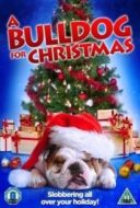 Layarkaca21 LK21 Dunia21 Nonton Film A Bulldog for Christmas (2013) Subtitle Indonesia Streaming Movie Download