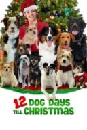 Layarkaca21 LK21 Dunia21 Nonton Film 12 Dog Days Till Christmas (2014) Subtitle Indonesia Streaming Movie Download