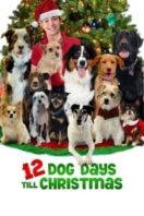 Layarkaca21 LK21 Dunia21 Nonton Film 12 Dog Days Till Christmas (2014) Subtitle Indonesia Streaming Movie Download