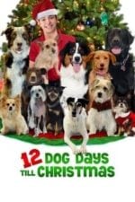 12 Dog Days Till Christmas (2014)