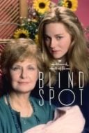 Layarkaca21 LK21 Dunia21 Nonton Film Blind Spot (1993) Subtitle Indonesia Streaming Movie Download