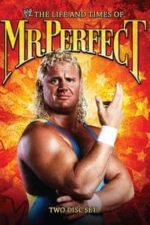 The Life and Times of Mr. Perfect (2008)