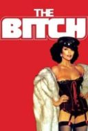 Layarkaca21 LK21 Dunia21 Nonton Film The Bitch (1979) Subtitle Indonesia Streaming Movie Download