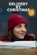 Layarkaca21 LK21 Dunia21 Nonton Film Delivery by Christmas (2022) Subtitle Indonesia Streaming Movie Download