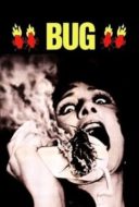 Layarkaca21 LK21 Dunia21 Nonton Film Bug (1975) Subtitle Indonesia Streaming Movie Download