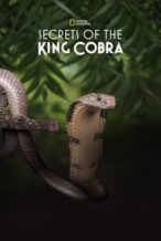 Nonton Film Secrets of the King Cobra (2010) Subtitle Indonesia Streaming Movie Download