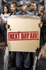 Next Day Air (2009)