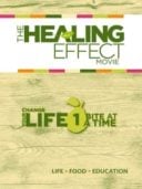 Layarkaca21 LK21 Dunia21 Nonton Film The Healing Effect (2014) Subtitle Indonesia Streaming Movie Download