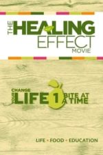 The Healing Effect (2014)