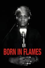 Born in Flames (1983)