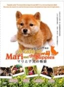 Layarkaca21 LK21 Dunia21 Nonton Film A Tale of Mari and Three Puppies (2007) Subtitle Indonesia Streaming Movie Download