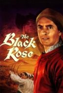 Layarkaca21 LK21 Dunia21 Nonton Film The Black Rose (1950) Subtitle Indonesia Streaming Movie Download