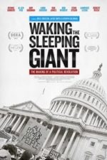 Waking the Sleeping Giant: The Making of a Political Revolution (2017)