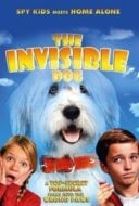 Layarkaca21 LK21 Dunia21 Nonton Film Abner, the Invisible Dog (2013) Subtitle Indonesia Streaming Movie Download