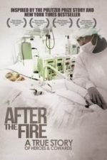 After the Fire (2011)