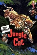 Jungle Cat (1960)