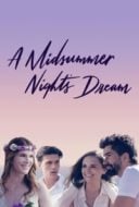 Layarkaca21 LK21 Dunia21 Nonton Film A Midsummer Night’s Dream (2017) Subtitle Indonesia Streaming Movie Download