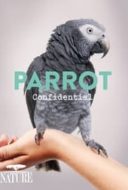 Layarkaca21 LK21 Dunia21 Nonton Film Parrot Confidential (2013) Subtitle Indonesia Streaming Movie Download