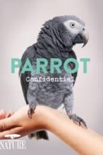 Parrot Confidential (2013)