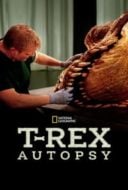 Layarkaca21 LK21 Dunia21 Nonton Film T. Rex Autopsy (2015) Subtitle Indonesia Streaming Movie Download