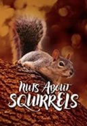 Layarkaca21 LK21 Dunia21 Nonton Film Nuts About Squirrels (2012) Subtitle Indonesia Streaming Movie Download