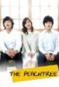 Layarkaca21 LK21 Dunia21 Nonton Film The Peach Tree (2012) Subtitle Indonesia Streaming Movie Download