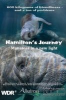 Layarkaca21 LK21 Dunia21 Nonton Film Hamilton’s Journey – Manatees in a New Light (2014) Subtitle Indonesia Streaming Movie Download