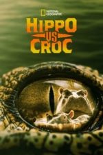 Hippo vs Croc (2014)