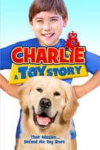 Nonton Film Charlie: A Toy Story (2013) Subtitle Indonesia Streaming Movie Download