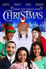 What She Wants for Christmas (2012)