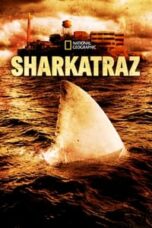 Poster Film Sharkatraz (2016)