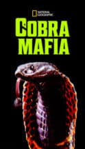 Nonton Film Cobra Mafia (2015) Subtitle Indonesia Streaming Movie Download