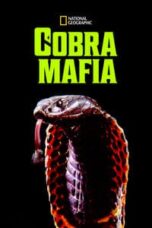 Poster Film Cobra Mafia (2015)