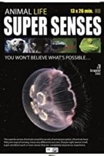 Super Senses (2015)