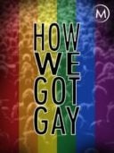 Layarkaca21 LK21 Dunia21 Nonton Film How We Got Gay (2013) Subtitle Indonesia Streaming Movie Download