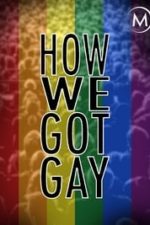 How We Got Gay (2013)