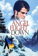 Layarkaca21 LK21 Dunia21 Nonton Film Angel Flight Down (1996) Subtitle Indonesia Streaming Movie Download