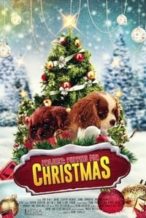 Nonton Film Project: Puppies for Christmas (2019) Subtitle Indonesia Streaming Movie Download