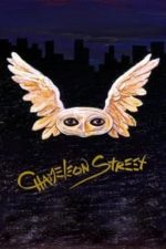 Chameleon Street (1991)