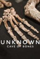 Layarkaca21 LK21 Dunia21 Nonton Film Unknown: Cave of Bones (2023) Subtitle Indonesia Streaming Movie Download